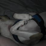 2013-01-11_05-47-16_213